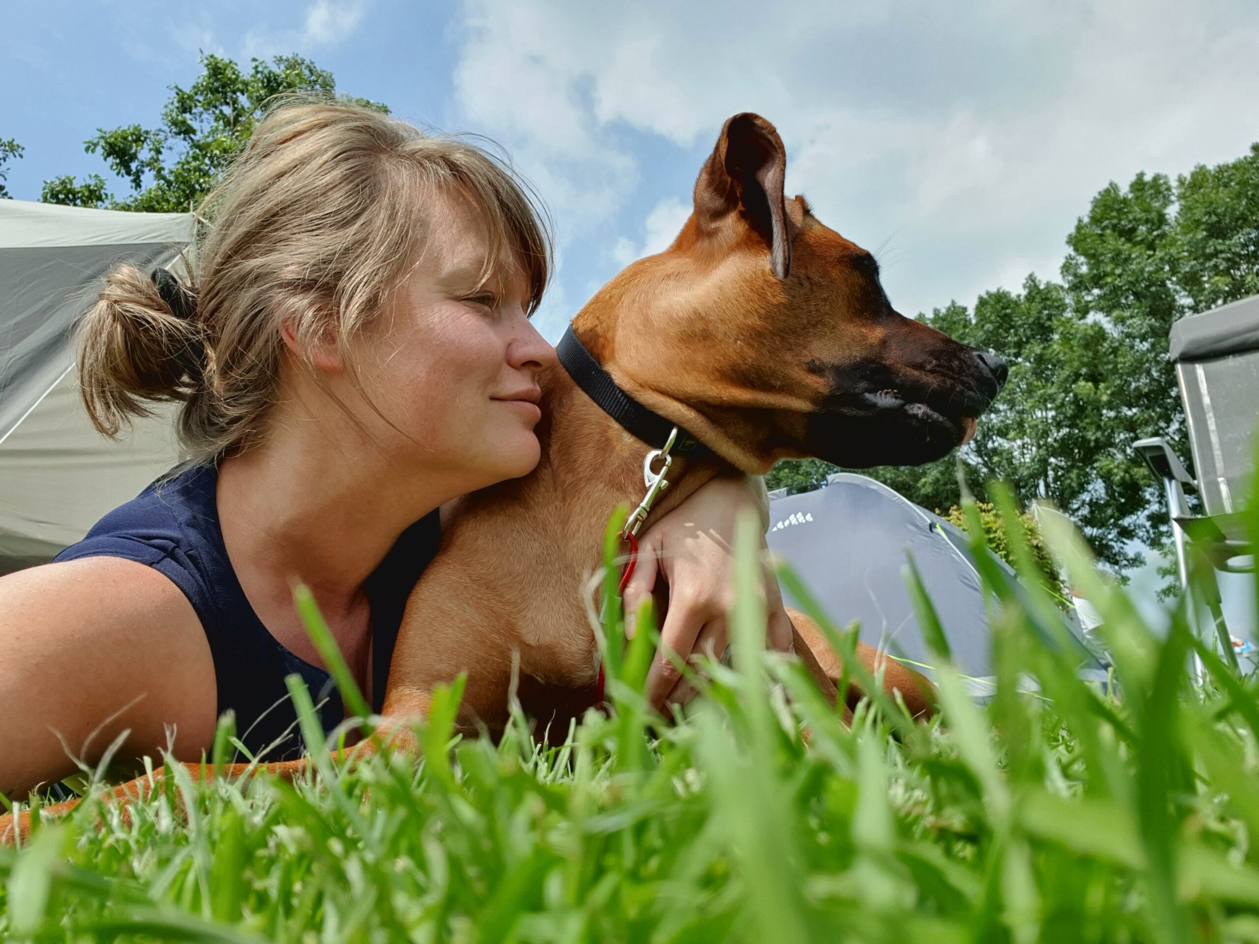 Janken, de spoed-dierenarts en de trek-chalet
