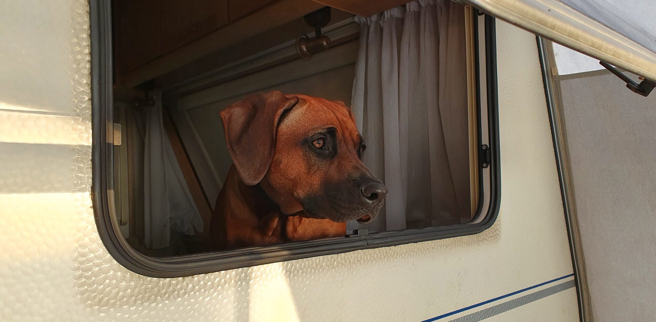 Caravan en relatie: kan dat wel?